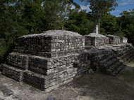Northeast Temple Group at Calakmul - calakmul mayan ruins,calakmul mayan temple,mayan temple pictures,mayan ruins photos